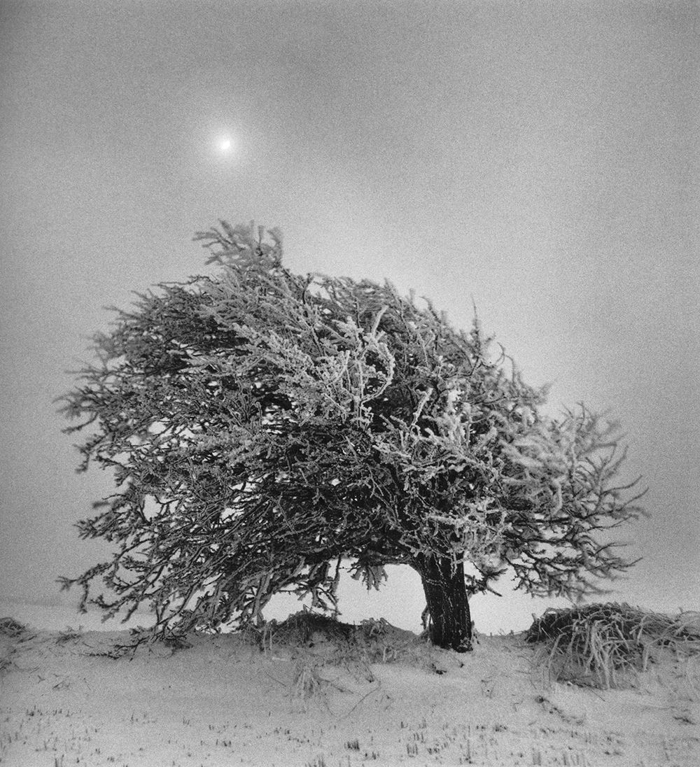 Kirsten Klein, <i>Winter Moon. 1997</i><br>Photo. 50 x 50 cm.<br>Purchased 2011. Inv. nr. 2011-004. ©The artist. Photo: Kirsten Klein