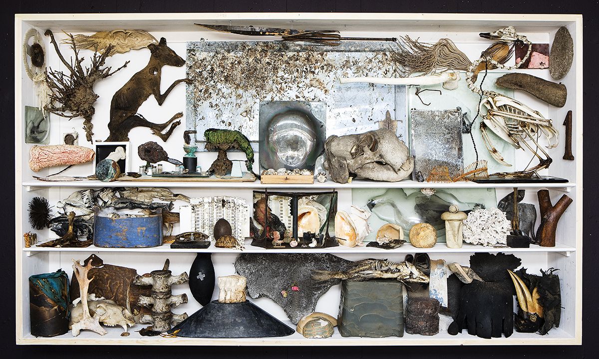 John Olsen, <i>Cabinet of Wonder</i>, 2001<br>Glass case with various specimens and artifacts. 70 x 270 x 90 cm.<br>Purchased 2010, supported by the New Carlsberg Foundation. Inv.nr. 2001-017e. ©Artist's heirs. Photo: Ole B. Petersen